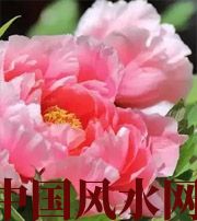 甘孜预示你财运上升，姻缘可成的梦境，快来看看吧！