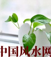 甘孜家中摆放六种吉祥物，会打开您的财运大门！