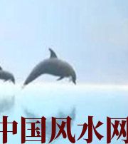 甘孜做梦梦到这些，是要富裕的征兆！